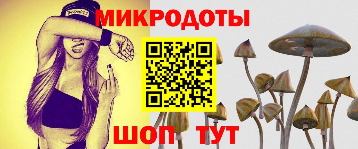 Железноводск  Галлюциногенные грибы мицелий  Вход с VPN 